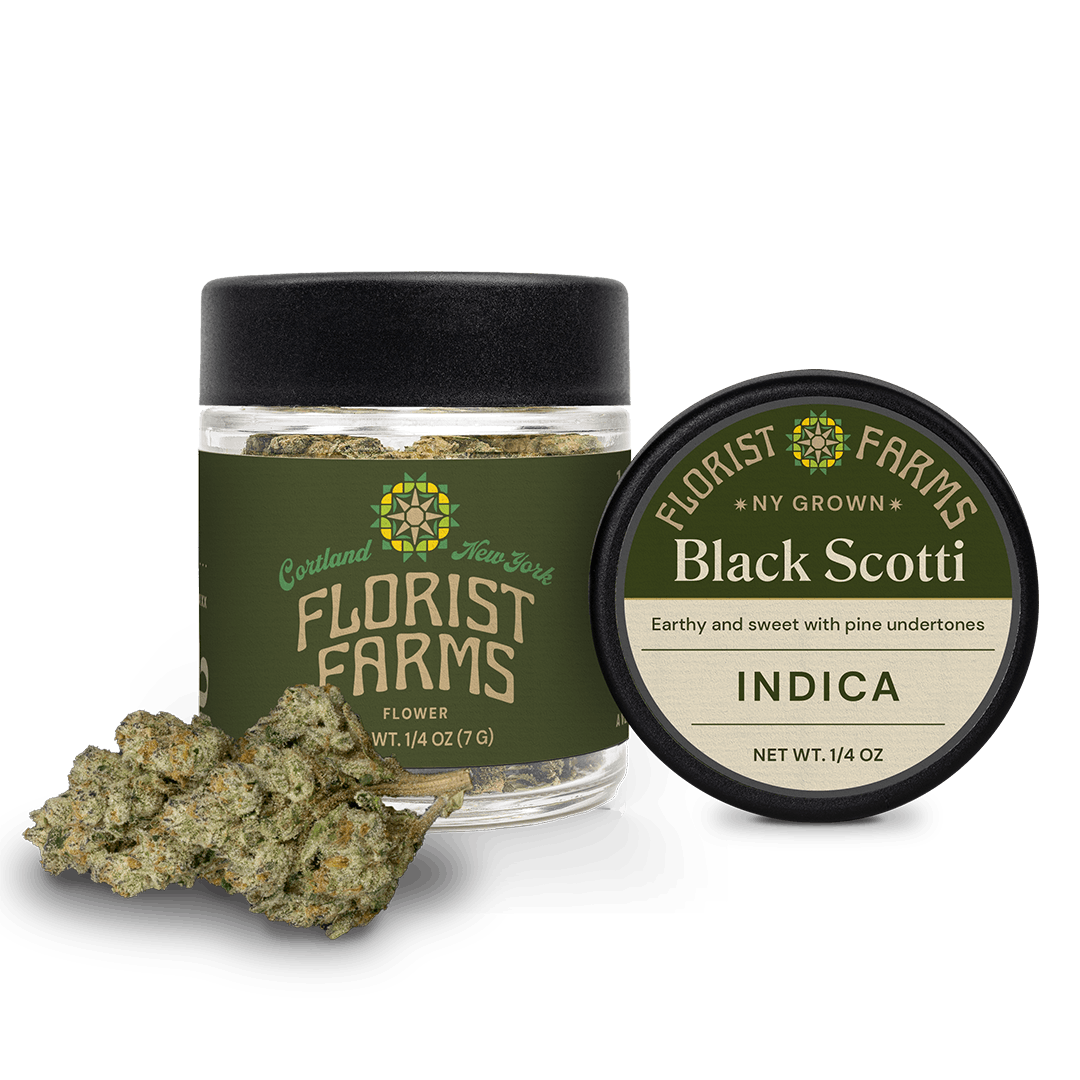 Black Scotti | Quarter Ounce