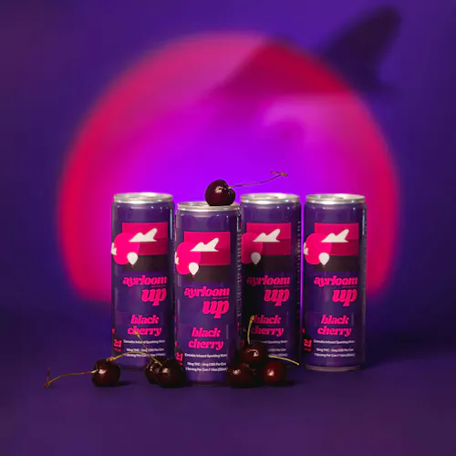 Ayrloom UP | Black Cherry | Infused Sparkling Water | 10mg:THC/Can | 4pk-4