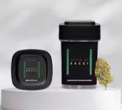 Gelato 41 | 3.5g | Flower | Hybrid | House of Sacci