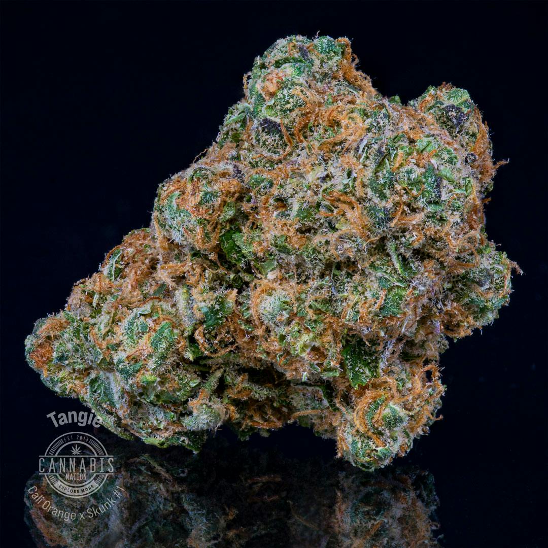 Flower | Tangie | Cannabis Nation (Seaside)