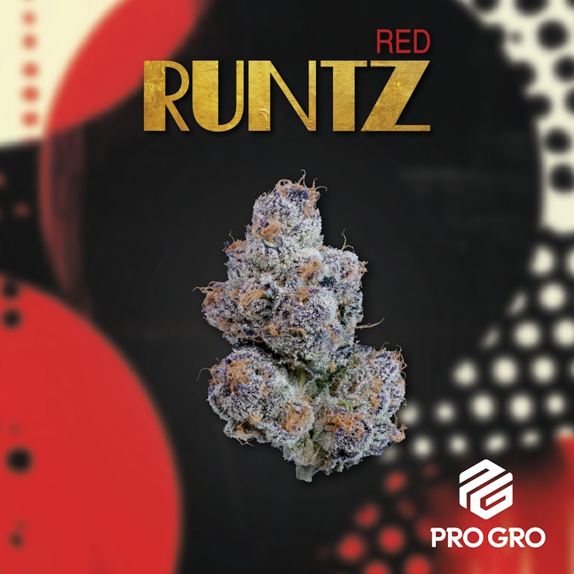 Pro Gro | Bulk Bud - Red Runtz