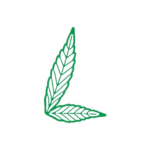 Image of Maui PM | Flower
