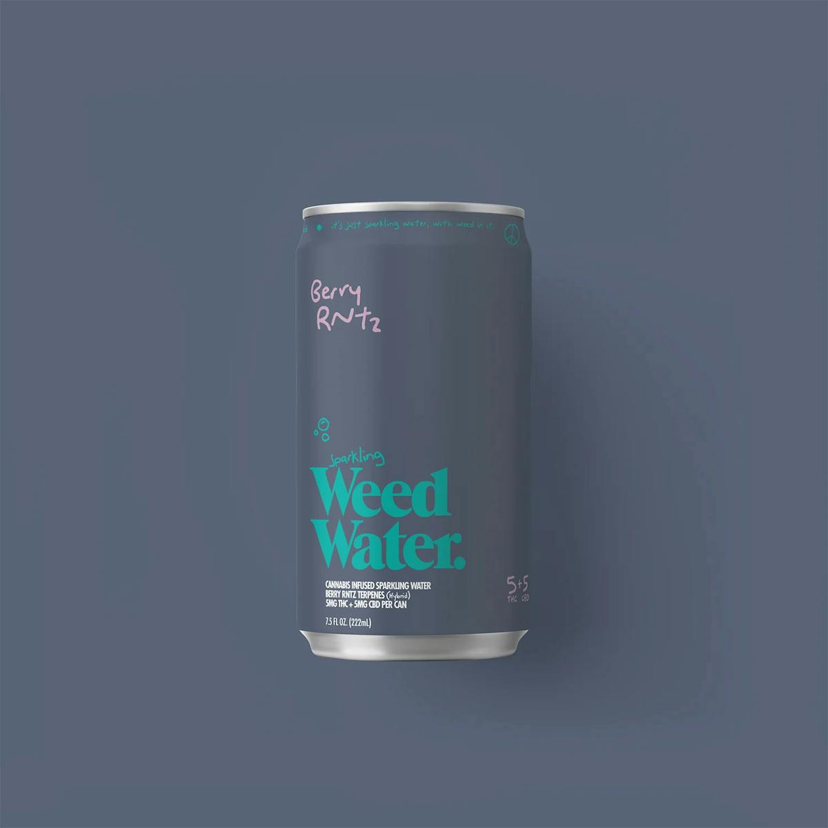 Image of Berry Rntz 1:1 | 5mg Seltzer