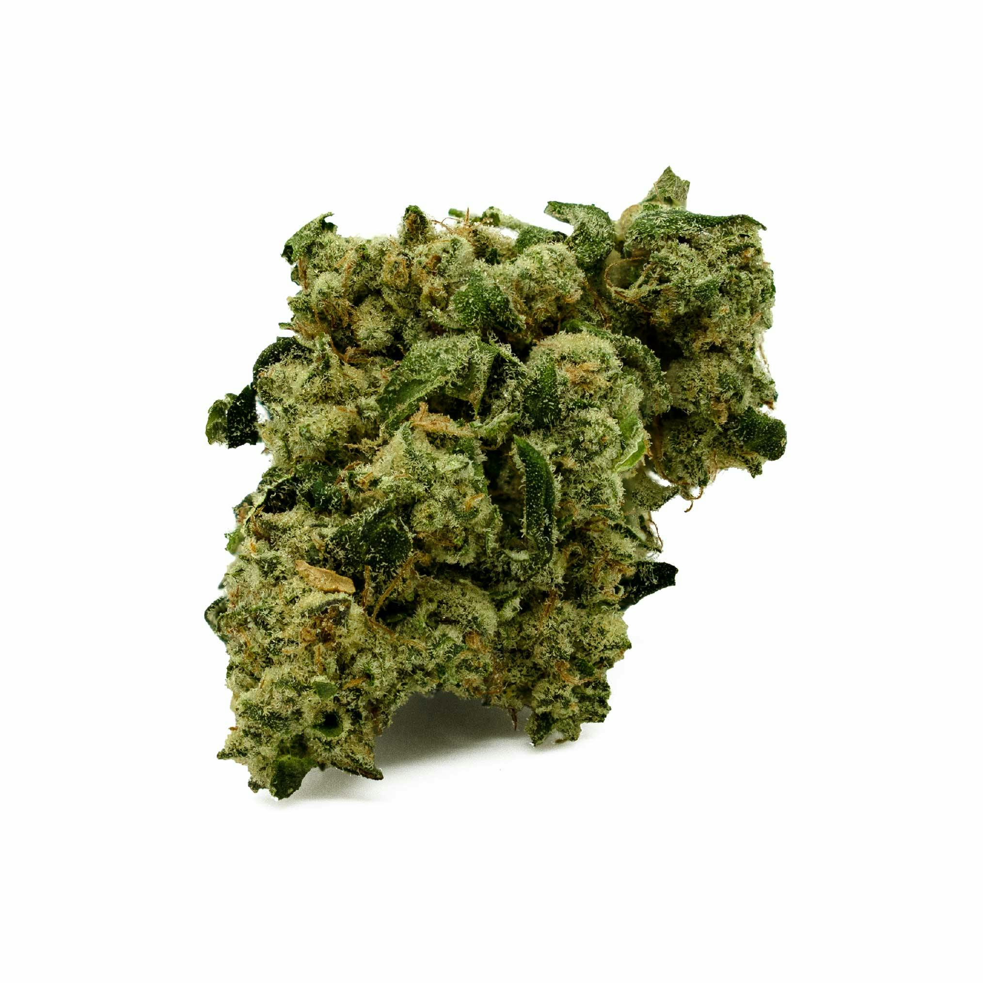 Silver Tip Flower