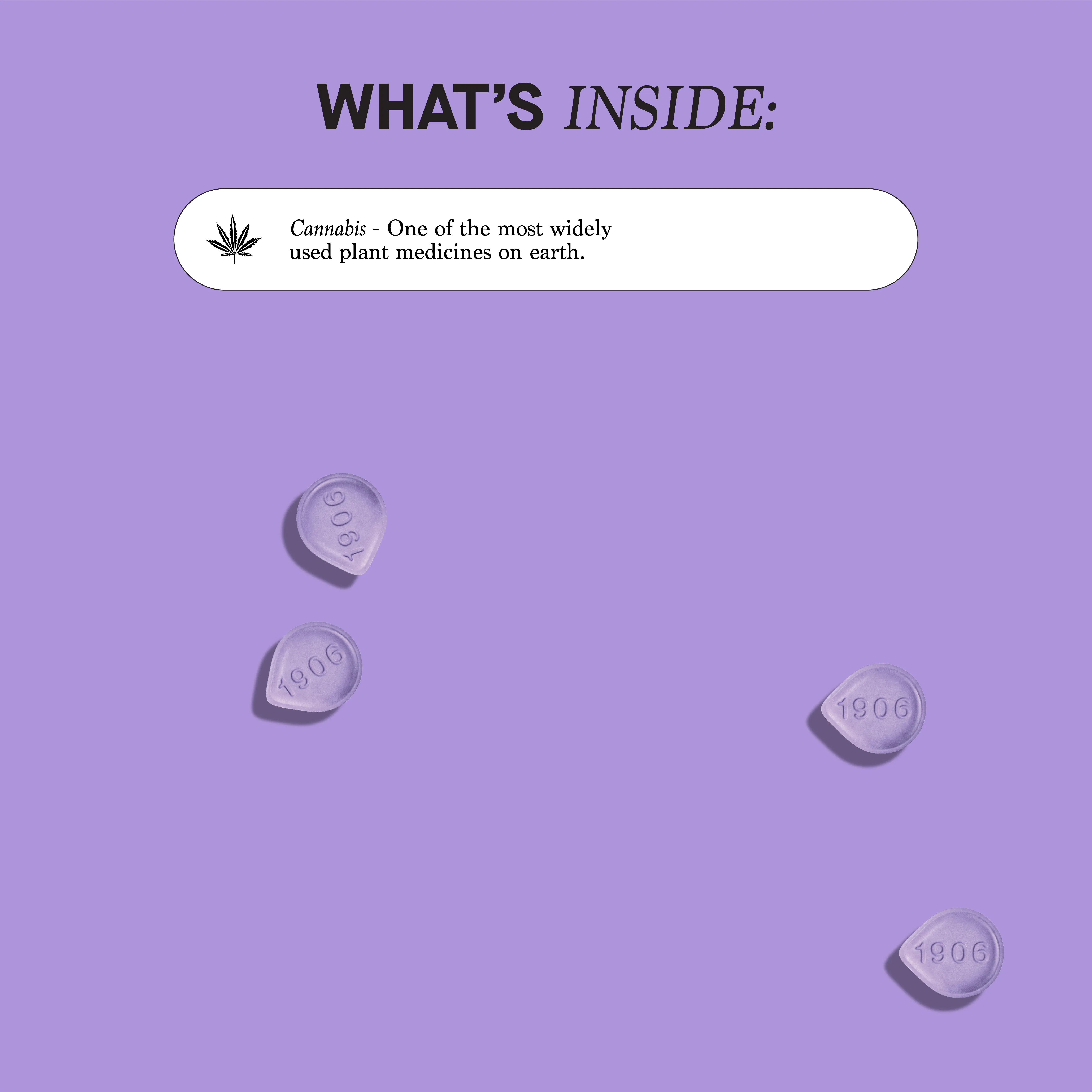 Sleep Tin | 100mg at Mighty Lucky