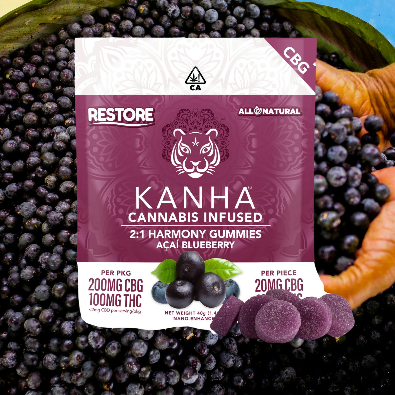 KANHA Gummies | Acai Blueberry | 2:1 (CBG:THC) | 10pk - Redi