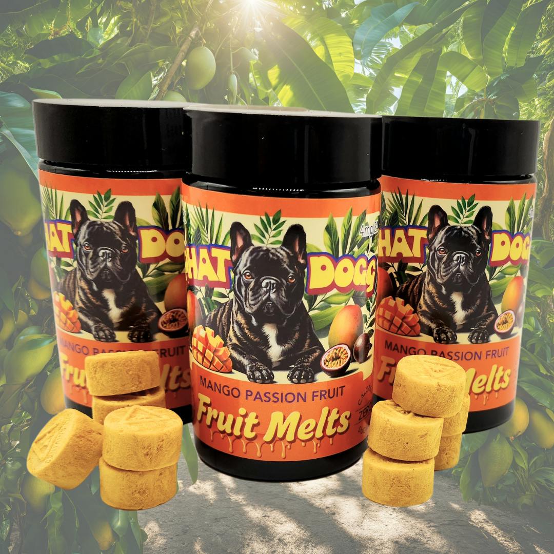 Mango Passionfruit | Fruit Melts | 20 Pack (5mg)