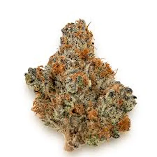 Member OG Bx1 (IH)-active