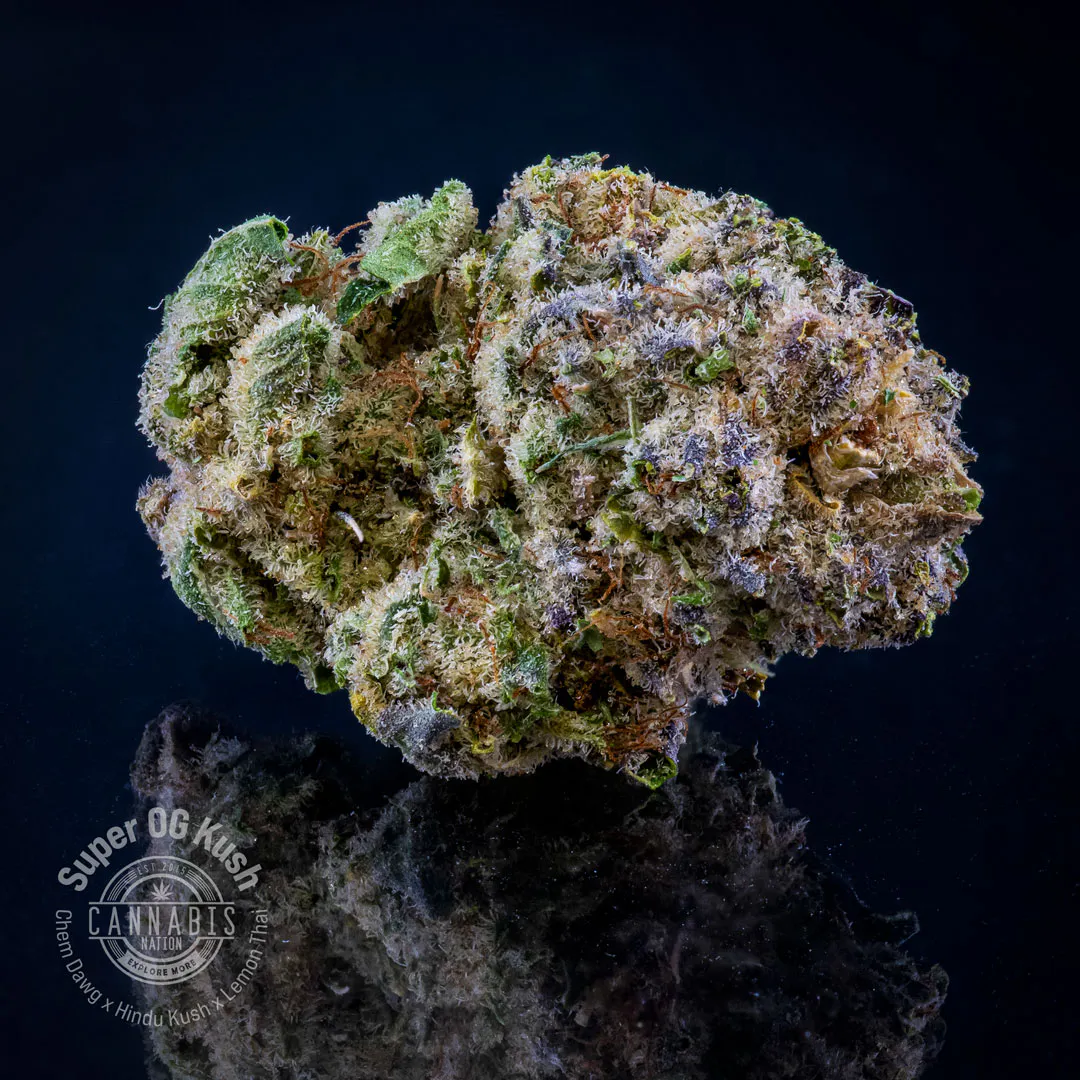 Cannabis Nation (Gresham)