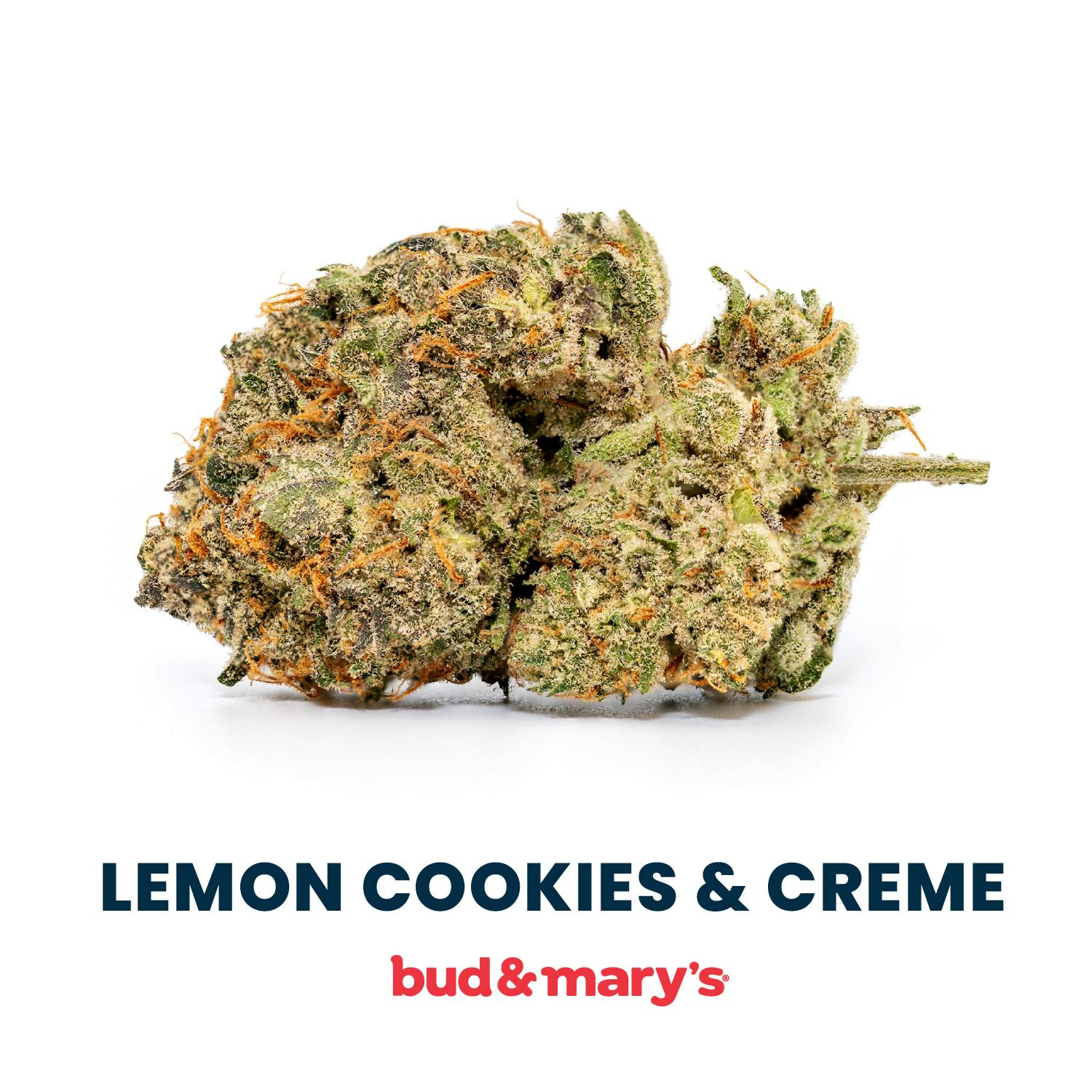 Product: Bud & Mary's | Bulk Bud - Lemon Cookies & Cream
