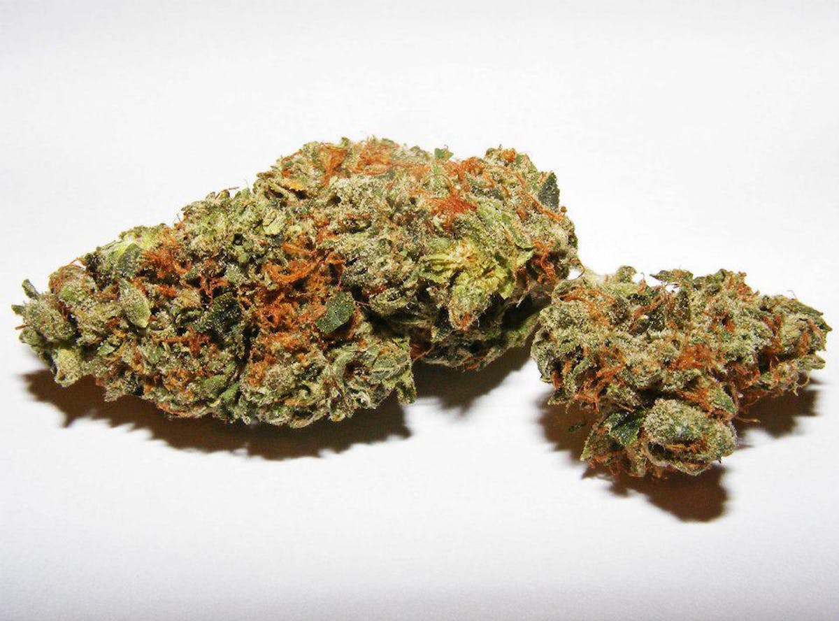 Photo of Platinum Shelf – Widow Fighter (H)