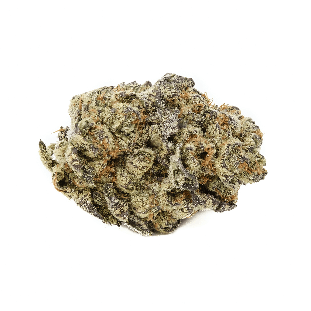 WiFi Mints is here! — The Village