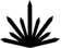 dispensary logo