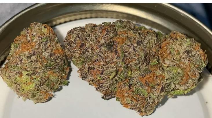 Product Creamsicle Buds