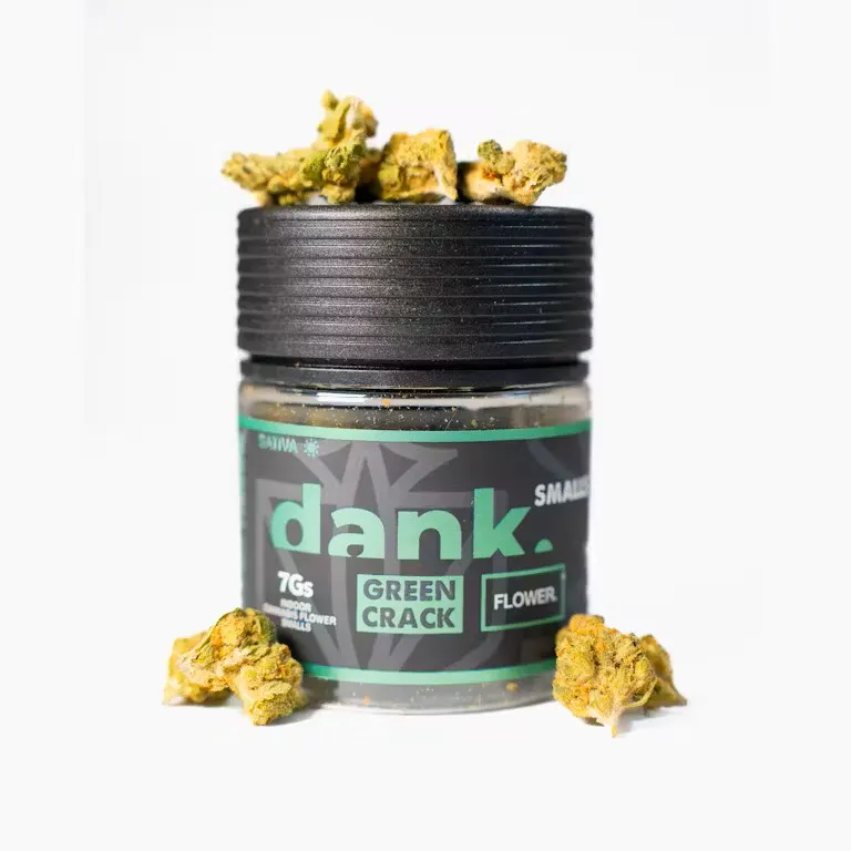 Terp Bros - Ozone Park | Ozone Park, NY Dispensary | My Dispensary
