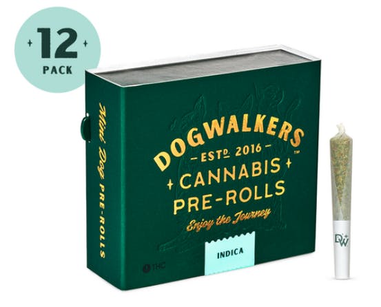 Animal Scout [0.35g x 12]