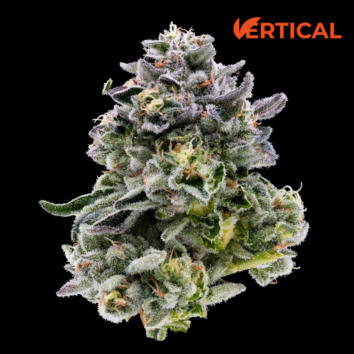 Vertical | Heir Heads - [3.5g] 1/8oz Flower | Vertical