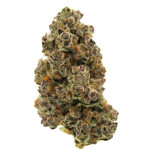 BHL ENTERPRISES BHL ENTERPRISES | MICHIGAN CHERRIES | BULK | HYBRID — FLOWER