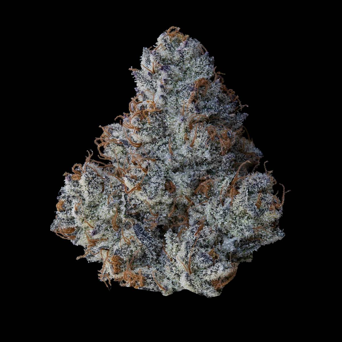 image of Budino Small Buds
