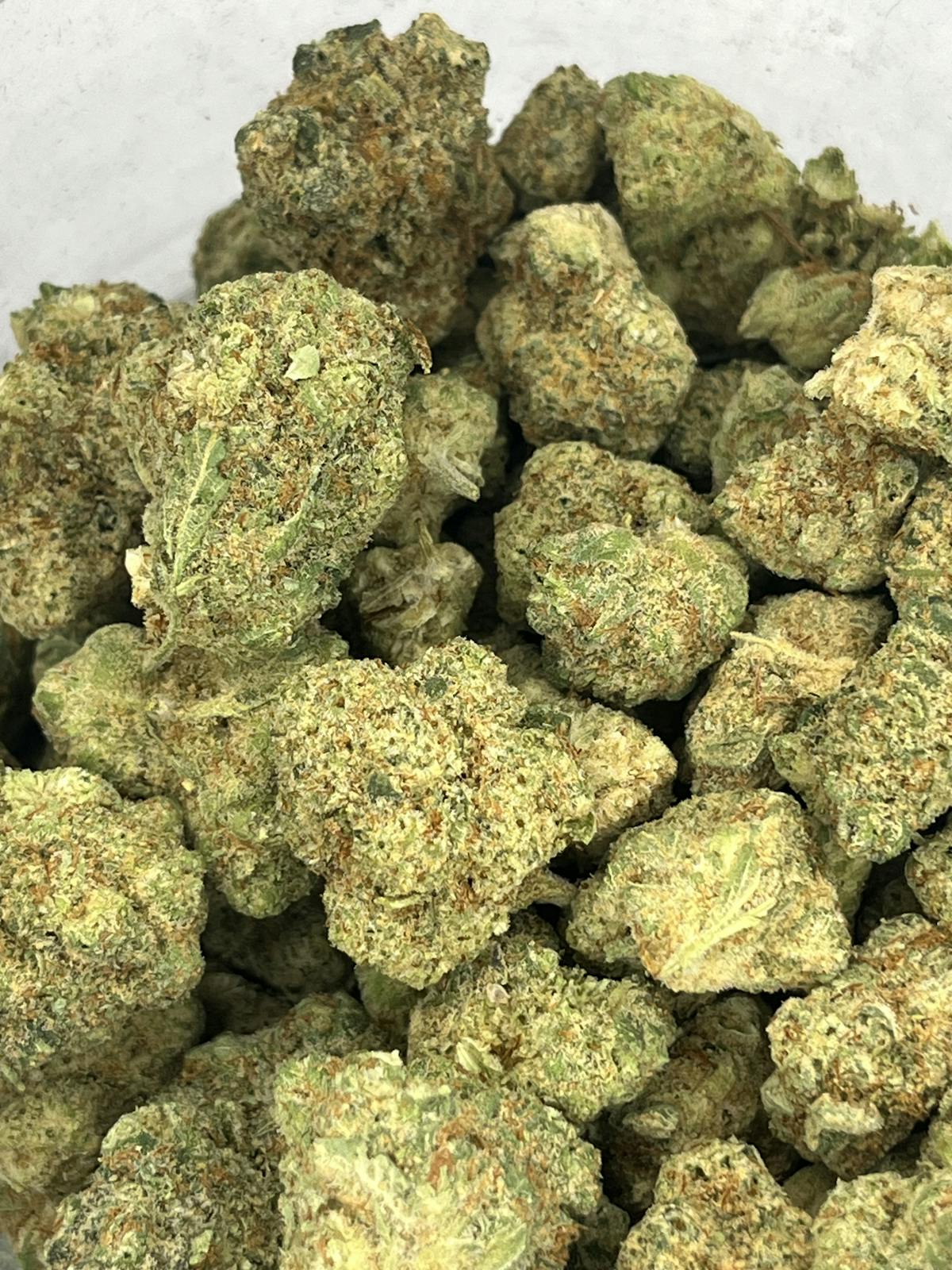 Photo of Platinum Shelf – Apricot Scone (S)