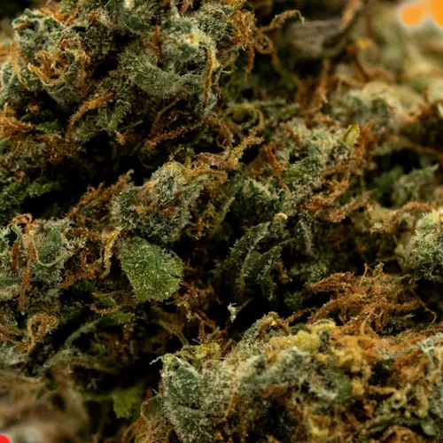 Deli Style | Poets Walk 2.0 – Sativa (BIG BUDS)-3