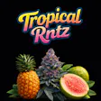 TheGoods Tropical RNTZ50001