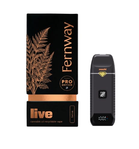 Fernway Mochi  | Pro | All-in-one - VAPORIZERS cannabis product, 1g