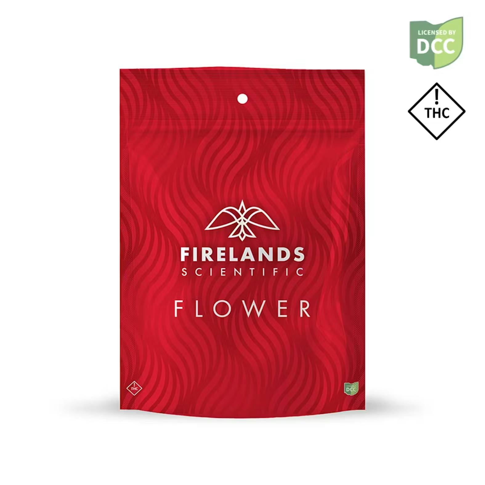 激ヤバ実生選抜 【 Loop plants 005 】 検 冰雹 麻花龍 悪魔 激ヤバ実生選抜 【 Loop plants 005 】 検 冰雹 麻花龍 悪魔 激ヤバ