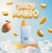 elf bar vape uk Later Days Disposable V@pes offer a pocket-sized vacation, bringing you  refreshing fruity flavors anytime, any season. | AYR Wellness main image 0