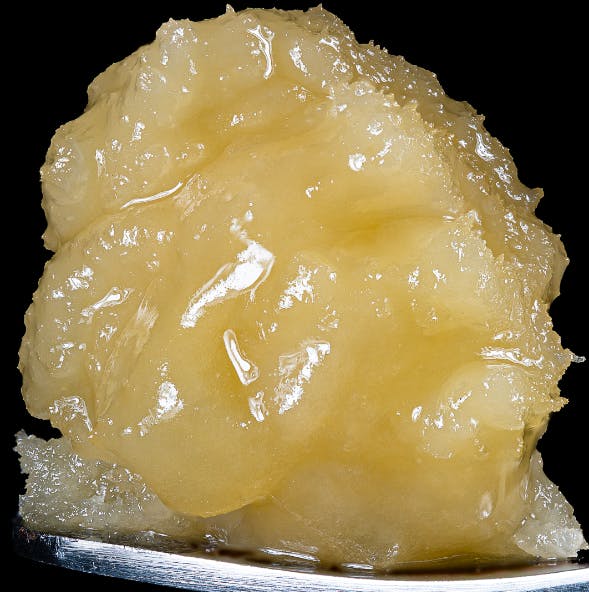 The Candy | Live Rosin | Wojo Co