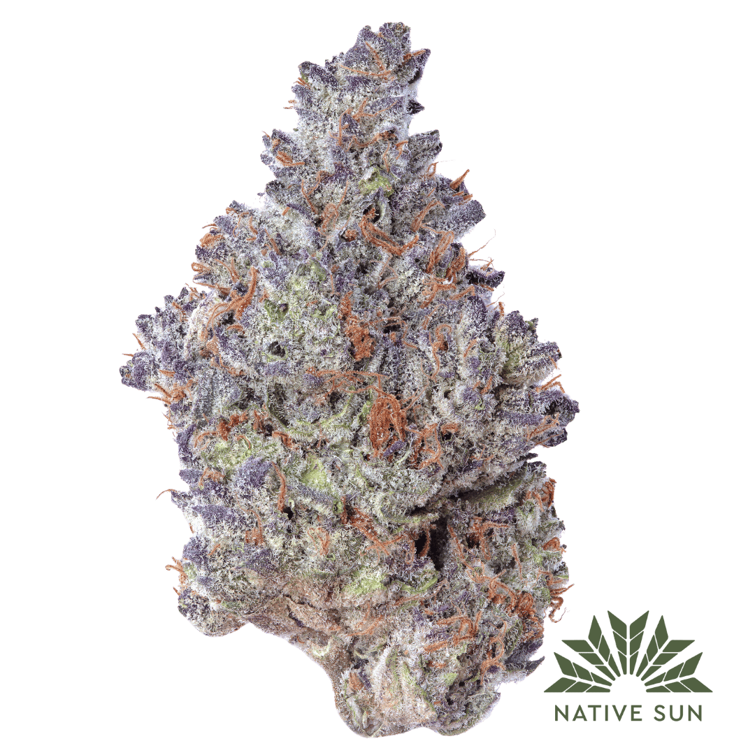 Native Sun Black Magic | Flower | 3.5g - Native Sun Cannabis