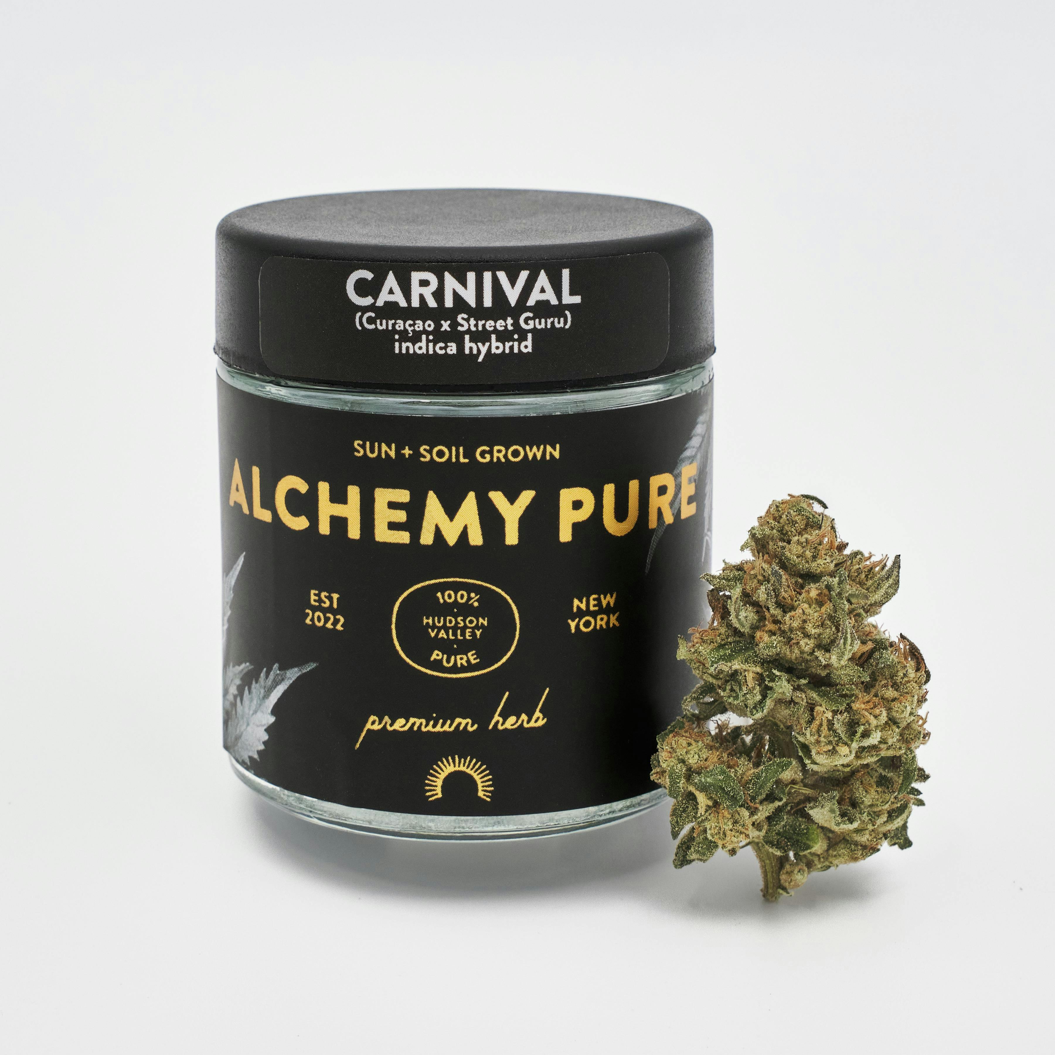 Alchemy Pure Premium Greenhouse Grown Herb | 3.5g | Carnival