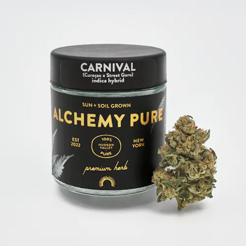 Alchemy Pure | Carnival | 3.5g Jar-active