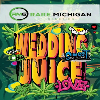 DELI - Rare Michigan Genetics - Wedding Juice - FLOWER by Rare Michigan Genetics at King of Budz