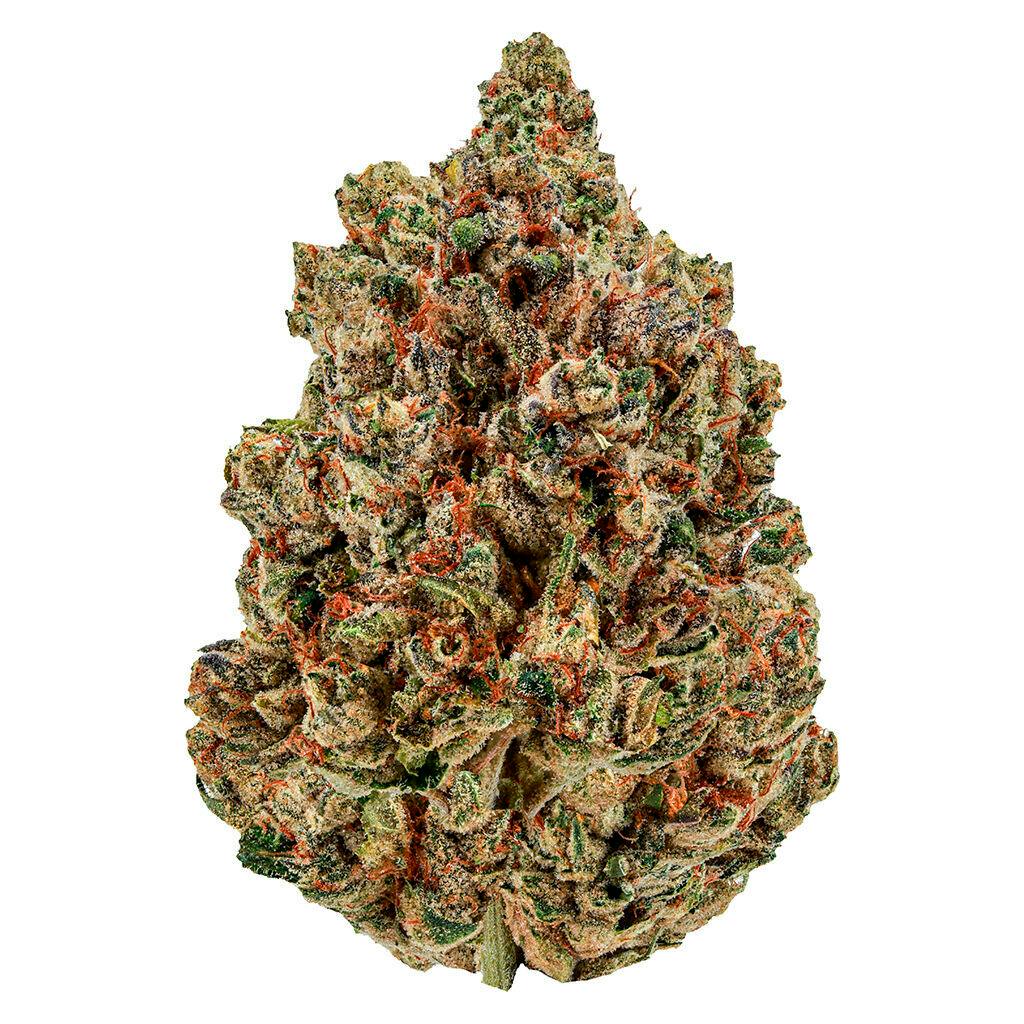 CANNABIS×Barbudos×yasuhide ono3点セット CANNABIS×Barbudos×yasuhide ono3点セット