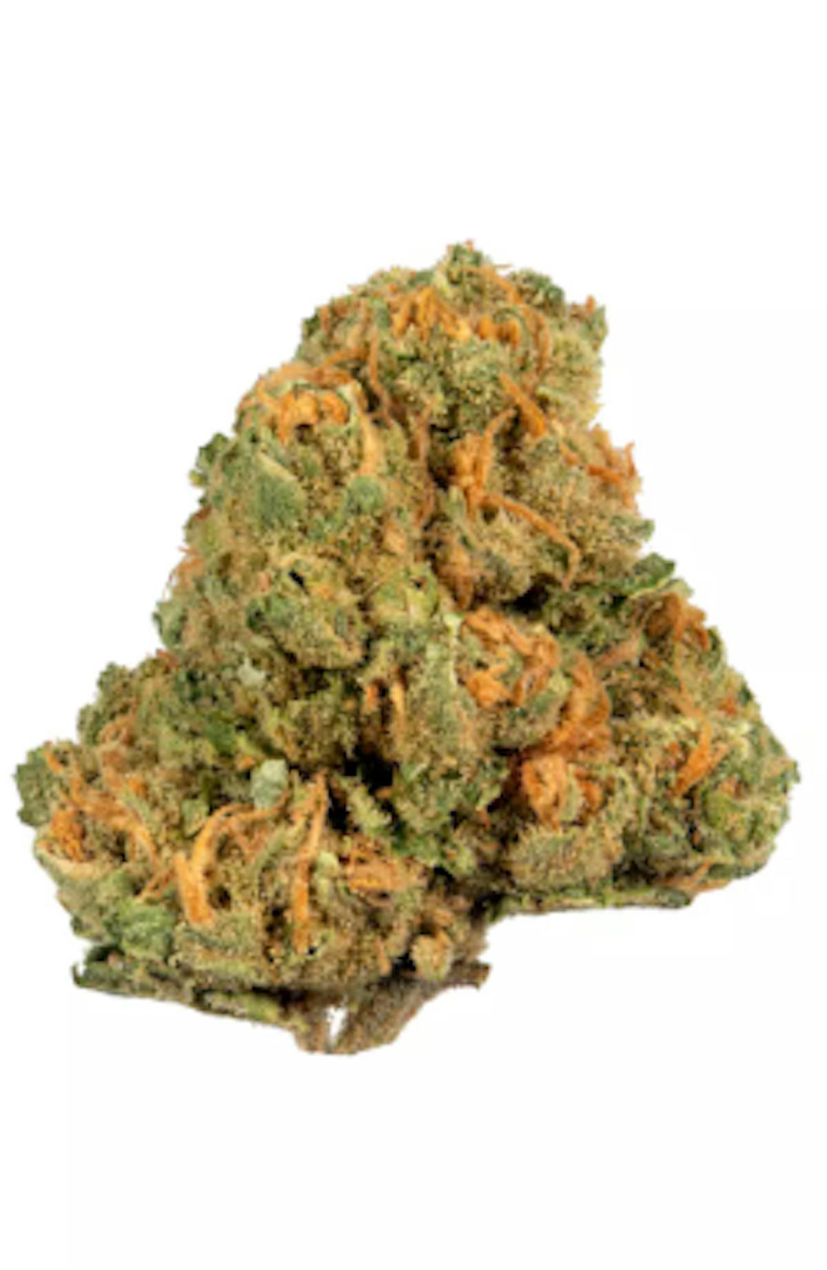 Image of Jack Herer | 3.5g Prepackaged Flower
