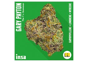 Sunshine daydream - INSA MA Dispensary Sunshine daydream - INSA MA Dispensary
