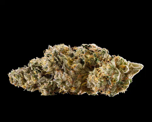 Rythm Brownie Scout Mixed Buds 28g-1