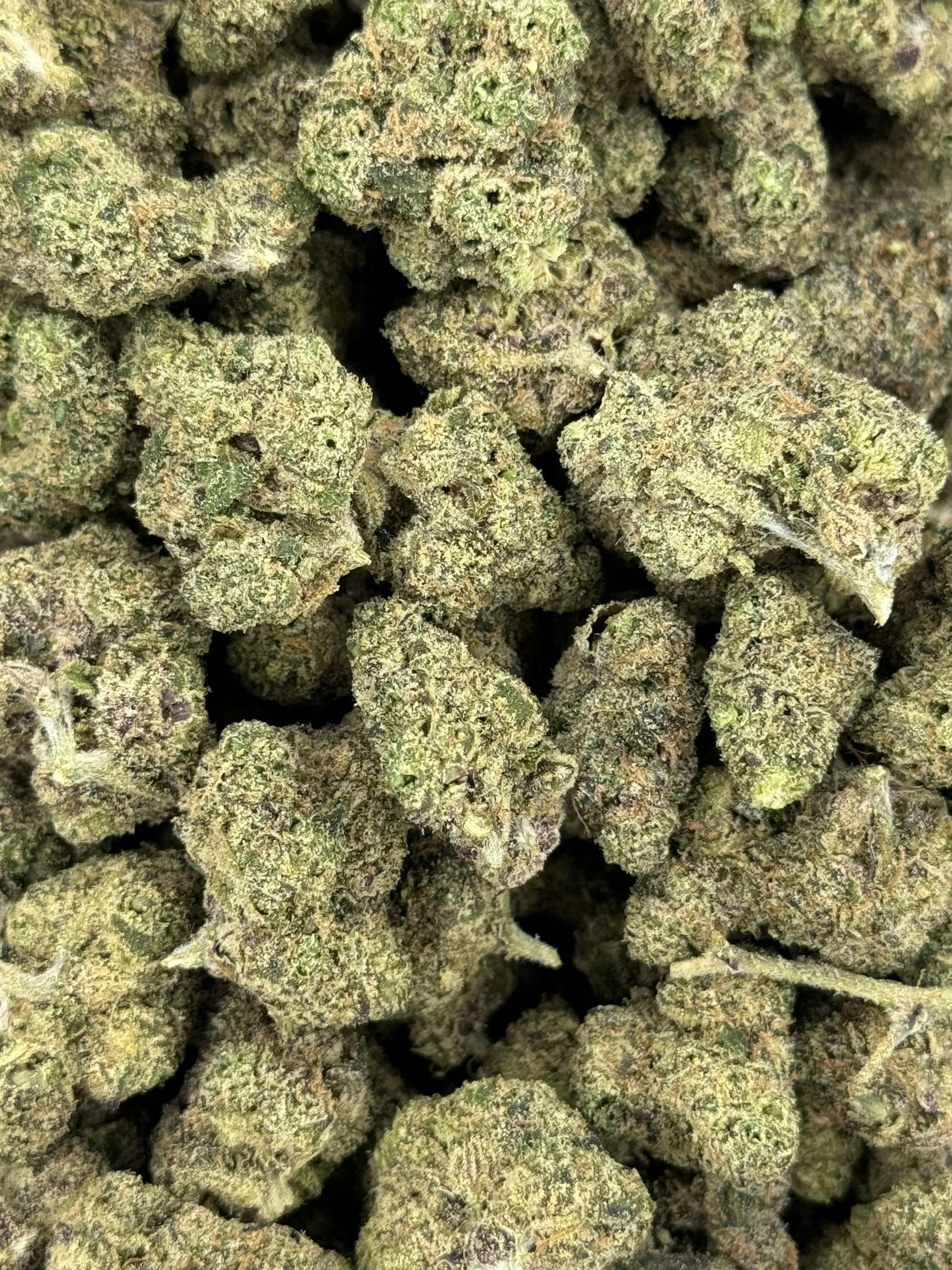 The Anti-Chruntz (Platinum)