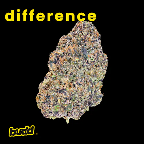 Budd | Permanent Marker | Pre-Roll | Hybrid-2