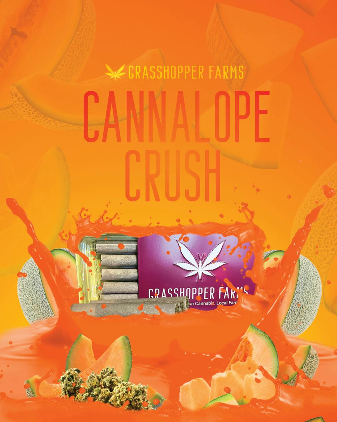Product: Grasshopper Farms | Cannalope Crush | Infused Pre-roll Hybrid