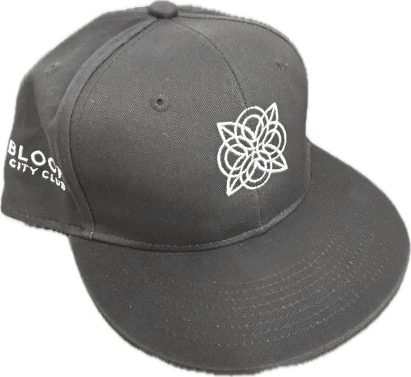 Product: Gray Snapback | Bloom Brand