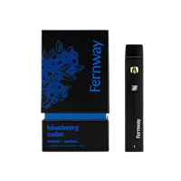 fernway vape price Zero Nicotine Disposable Vape main image 0