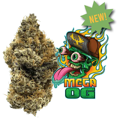 Mega OG | 3.5g Flower-1