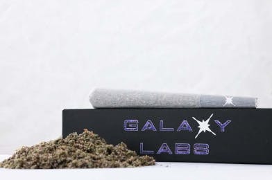 Product GAL Preroll - Smackerz 1g