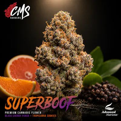Bud Bar • Aura Canna Co. • Medical & Adult-Use Dispensary in RI and MA