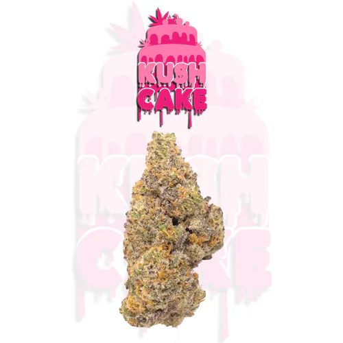 Planet 13 Cape Coral | Shop Cannabis Online