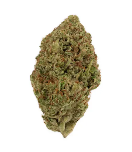 Rolling Green | Flower | Georgia Haze | 3.5g-1