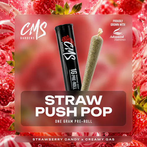 Strawberry Push-Pop-active