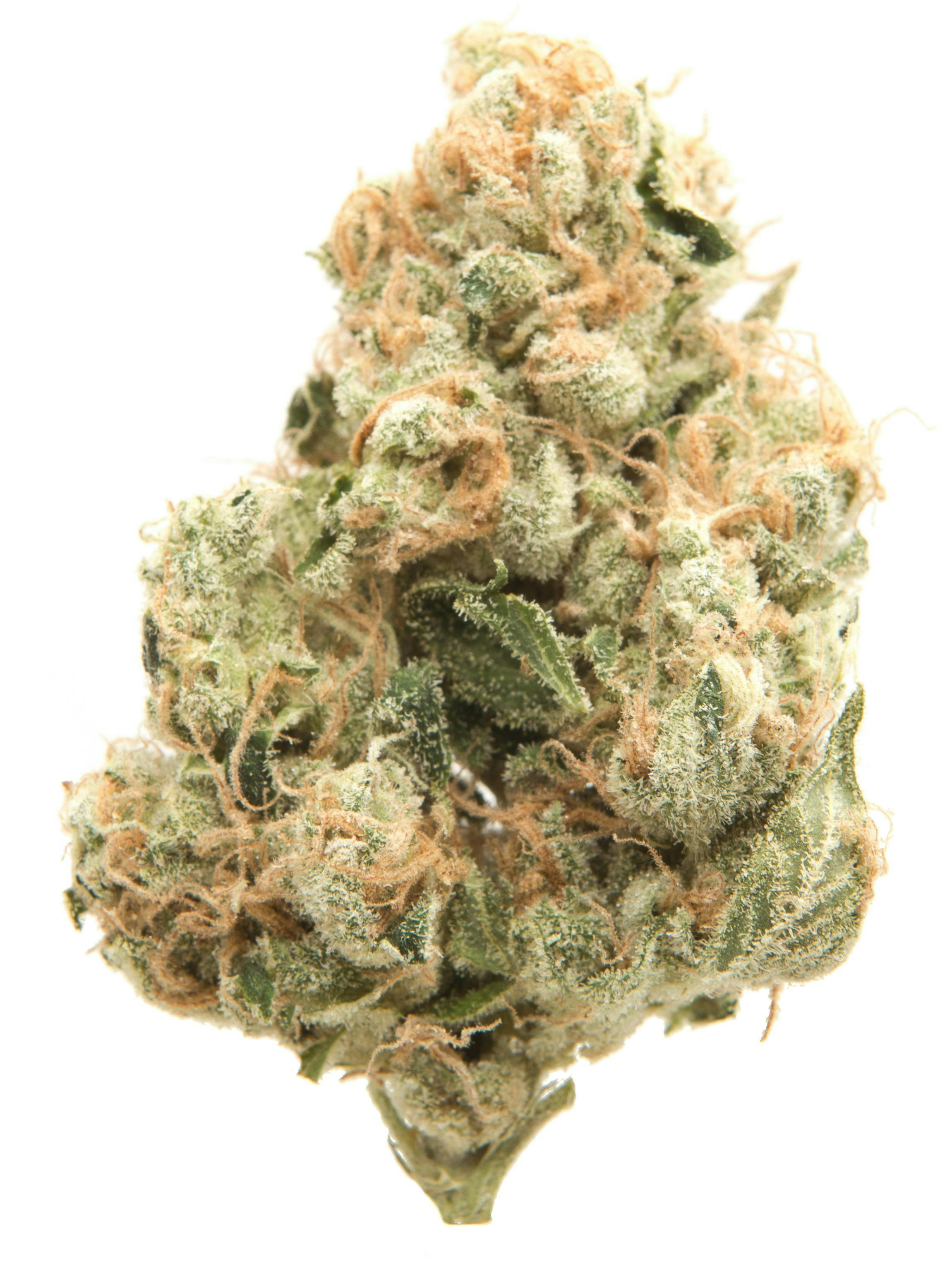 Rythm | Sour Diesel | 3.5g